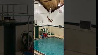 Back Dive Tuck 3M -total hours of practice: 10