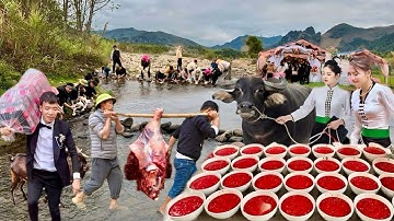 Đám Cưới Bản Thái Lớn Nhất Tây Bắc - 1 Trâu,  1 Lợn Tạ 3,  3 Dê,  100 Gà..