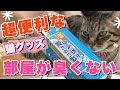 【便利な猫グッズ】犬や猫のうんちが臭わない袋が超便利。大人気のペット用トイレアイテム