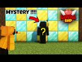 We Spent 24 Hours To Find The Biggest MYSTERY of This Lifesteal SMP ! LOYAL SMP