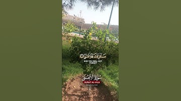 #اكسبلور #سورة #danslabulledecali #لايك #راحة_نفسية #نفيسه #تيك_توك #دويتو