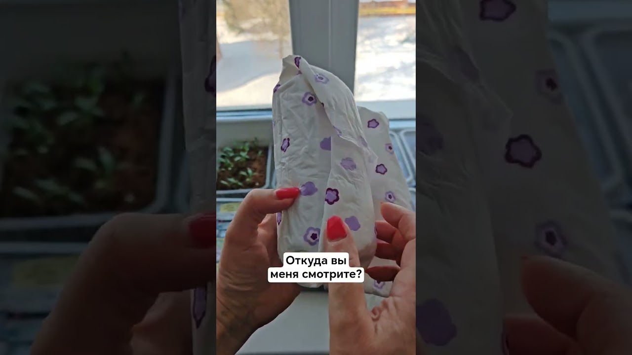 На улице снег, а у меня новая покупка