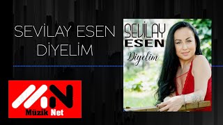 Sevilay Esen - Diyelim  Resimi