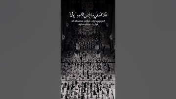 شيخ سعد الغامدي اجمل حالات واتس اب دينية سورة هود قال يٰنوح إنه ليس.....🌿💙