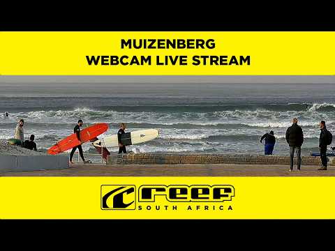 Muizenberg Beach Live Webcam | REEF South Africa  @Reef-SA