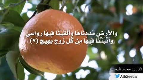 (أَفَلَمْ يَنظُروا إلَى السَّمَاءِ فَوْقَهُمْ كَيفَ بَنَيْنَاهَا وزَيَّنَّاهَا) تلاوة عذبة من سورة ق