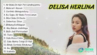 Album Delisa Herlina