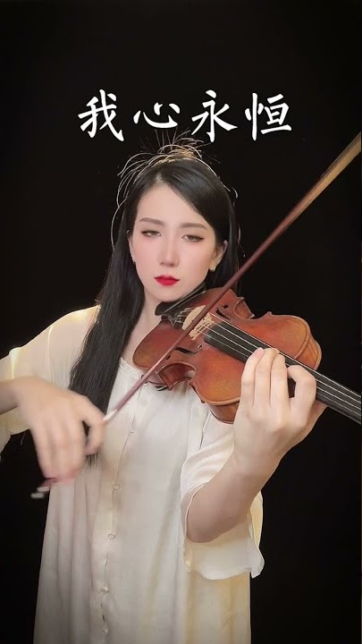 My heart will go on violin cover