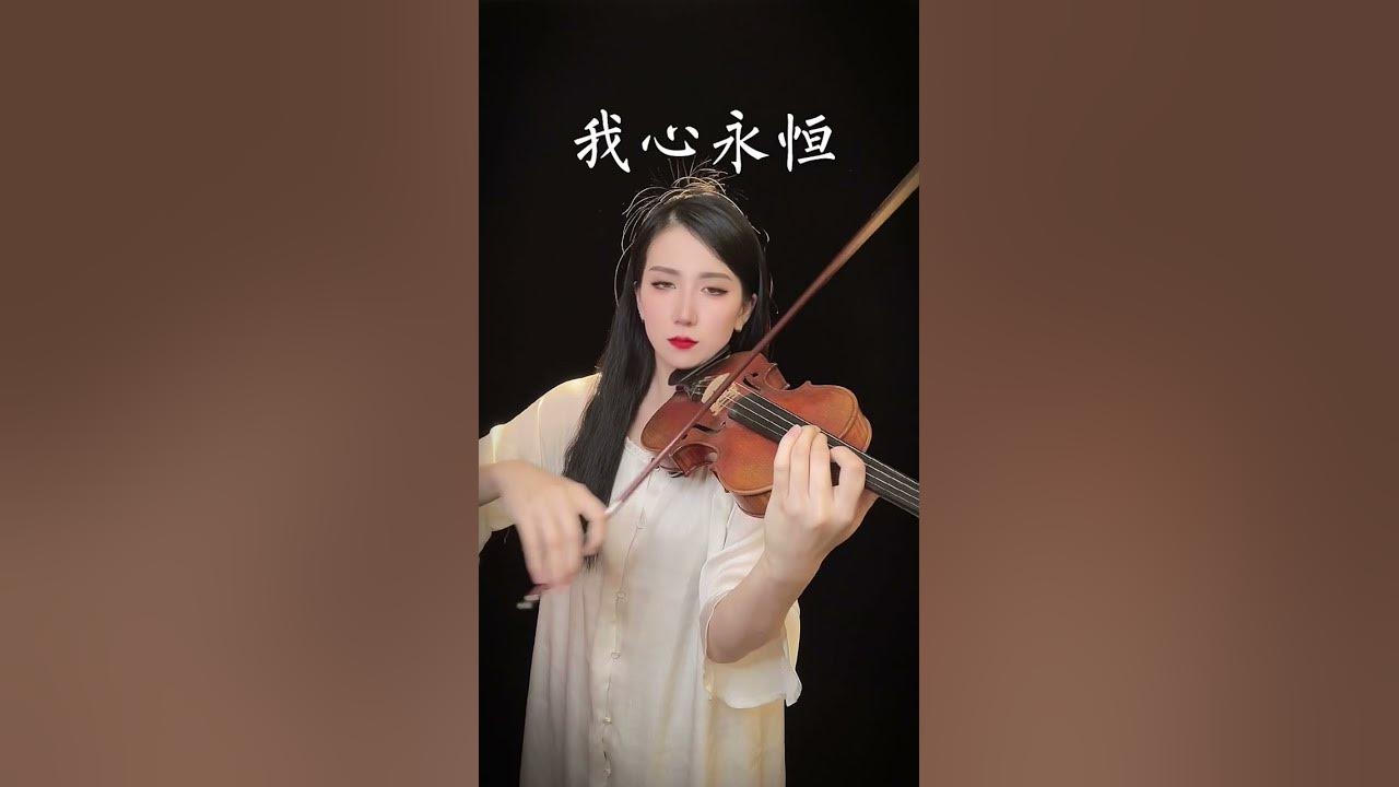 My heart will go on violin cover