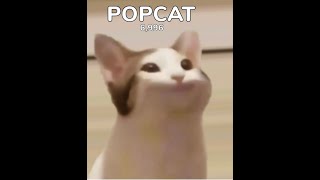 POPCAT GOTO 100B REALTIME #thailand #popcat #worldwidepopcat screenshot 4