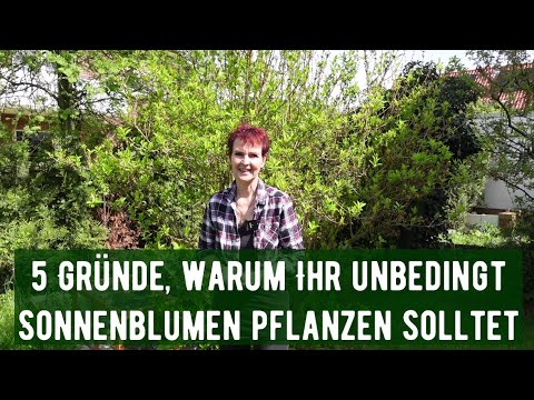 5 Gründe, warum