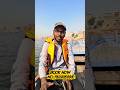 Varanasi Aaye Aur Boat Ride Nahi Ki? 😲 Book Now! 🛶 #varanasi #shortvideo #travelshorts #gangariver