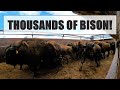 OVER 27,000 Acres!!! National Bison Conference