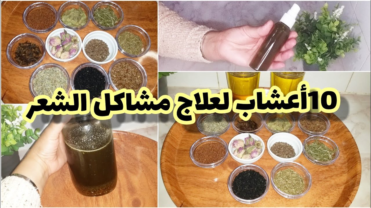 زيت بالاعشاب الطبيعية💯(تشقيقة)للشعر قوية لتطويل وخلفةالشعر ومنع التساقط وعلاج كل مشاكل الشعر 👌🏻