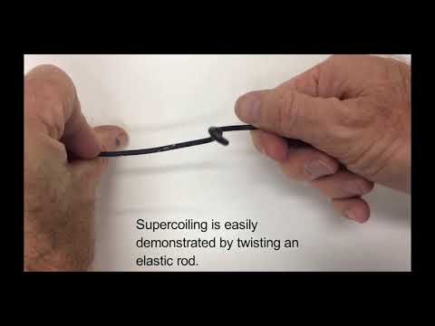Supercoiling artificial muscles