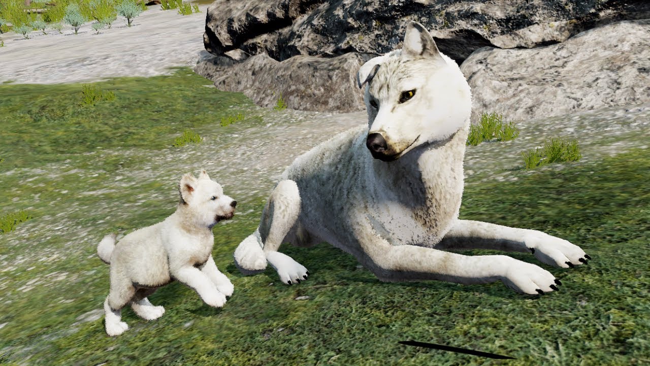 WolfQuest 3 White Pup YouTube WolfQuest 3 White Pup YouTube