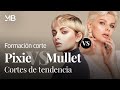 Pixie VS Mullet. Cortes de tendencia