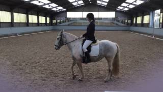 Novice 30 Dressage Test Sheepgate Equestrian Centre
