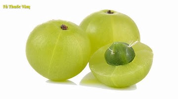 7 Công Dụng Của Quả Me Rừng Đối Với Sức Khỏe