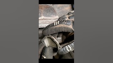 60 seconds to muffler an Echo CS-590 Timberwolf or CS-620