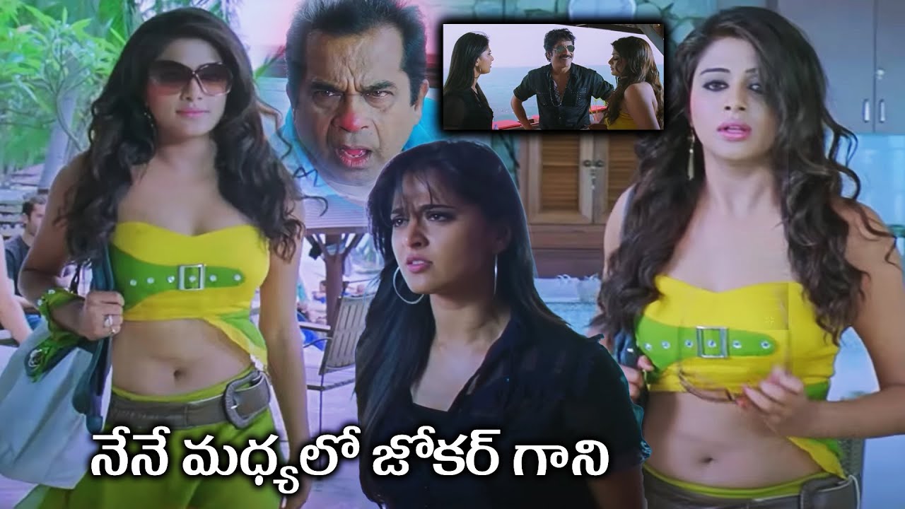Ragada Movie Priyamani Scenes || Anushka Shetty || Brahmanandam || Tollywood Cinemalu