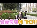 [석준] 여자친구와 석촌호수 벚꽃축제에 가다!! 봄봄봄 봄이왔네요~ (석준 여름 리플s)