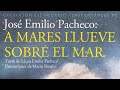 José Emilio Pacheco: A mares llueve sobre el mar