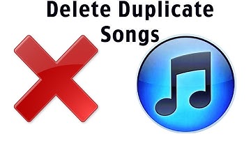 iTunes Tutorial: How To Delete Duplicate Songs In iTunes