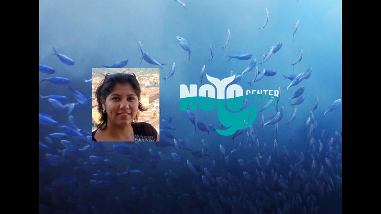 Science Talk: Ocean Upwelling with Guest Speaker Marisol Garcia-Reyes