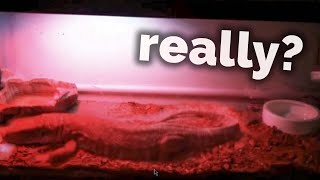 Rating Your Ugly Reptile Enclosures - #10