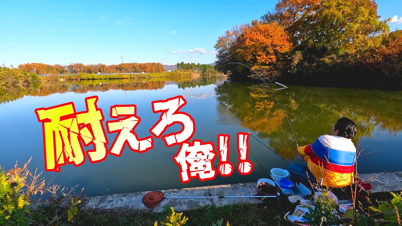 短竿でへら鮒爆釣した後は長竿でのんびり釣りするはずが･･･【茨城県桜川市 莫大沼、名もなき池】