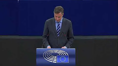 David McAllister - Plenary speech on the security ...