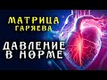 Матрица Гаряева Нормализация Давления ☀️ Всегда Нормальное Давление ☀️ Квантовое исцеление звуком