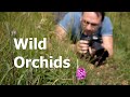 How to Photograph Wild Flowers | Orchid Photography in the Field