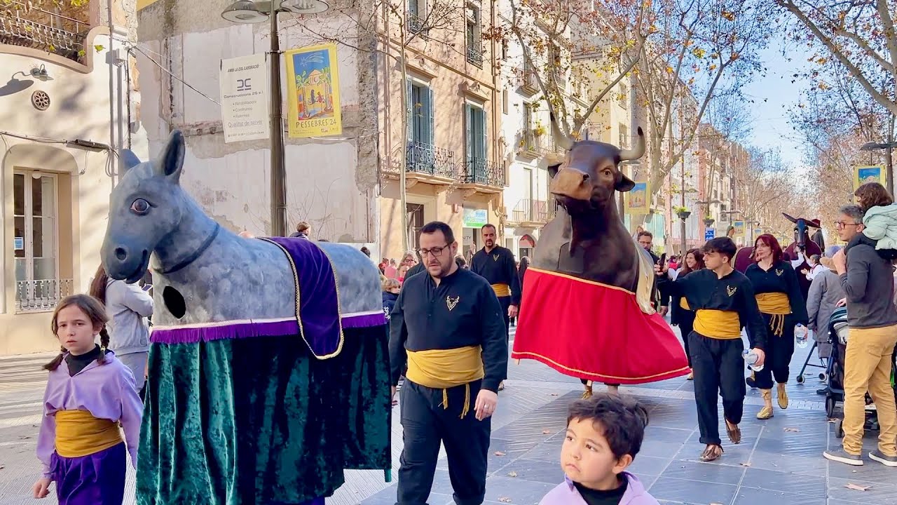 CERCAVILA de BALLS i ENTREMESOS en honor de SANT ANTONI a Vilanova i la Geltrú 2025 - Episodi nº 2