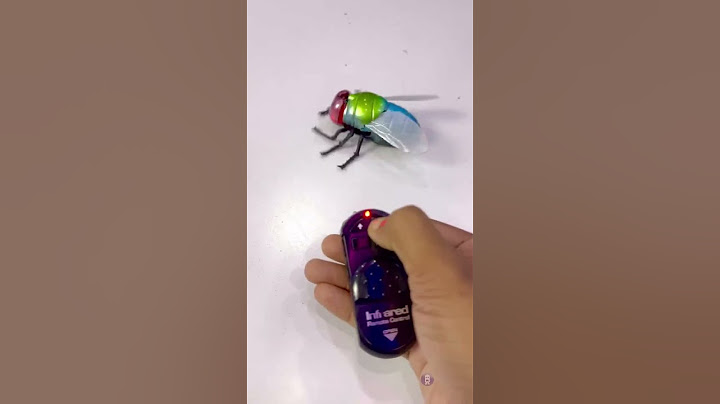 BRAWL ATHLETIX Infrared Remote Control Simulation Housefly #rcanimal