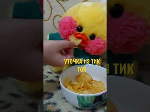 ❤уточка из Тик Ток❤
