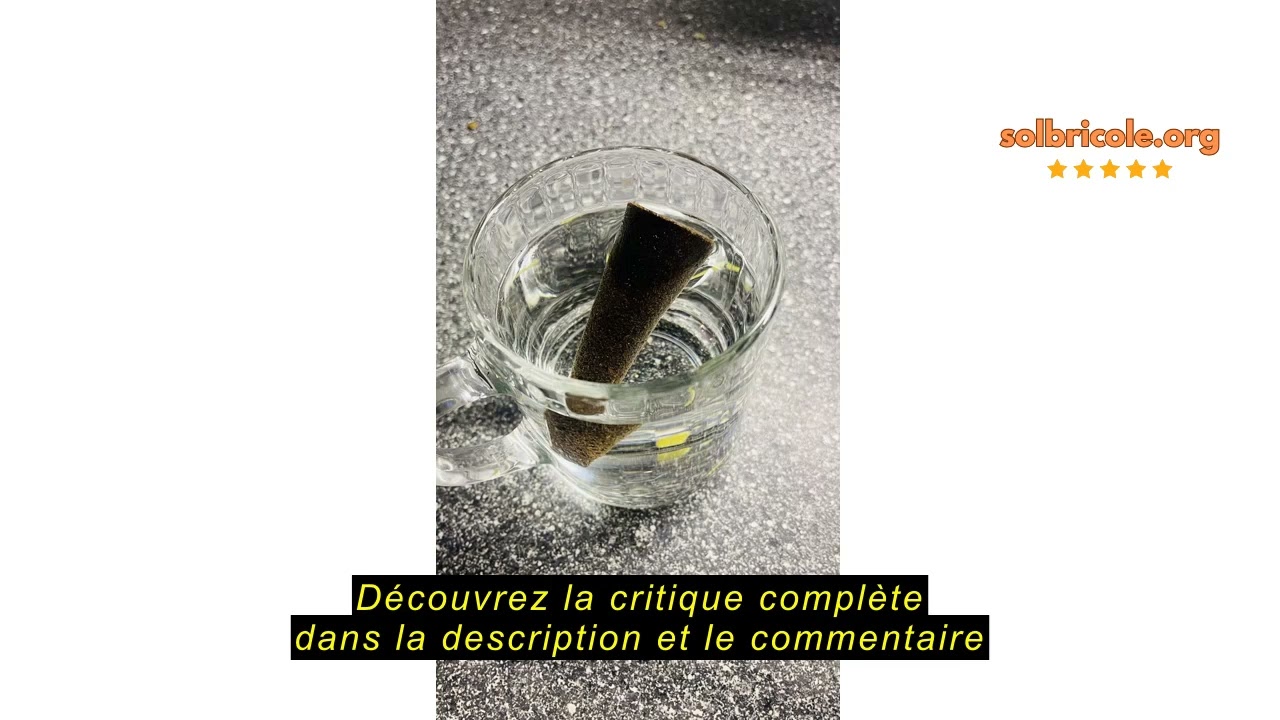 UNIANE Lot de 50 éponges de culture pour culture hydroponique, capsules pour culture hydroponique, éponges de culture de remplacement, multiplication hydroponique, hydroponie générale, bouchons de dém