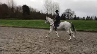 Ad ref 288463   Video 2