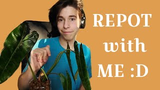 Winter Growth, YouTube and School: Repot with Me!