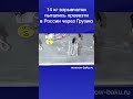 14 кг взрывчатки пытались провезти в России через Грузию