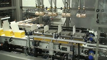Case packing system with integrated buffer store - Sewtec
