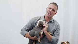 Pets Plus (Our NEW pet supplement) FAQs