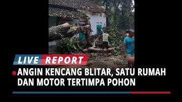 Angin Kencang di Desa Penataran Blitar, Satu Rumah dan Motor Warga Rusak Tertimpa Pohon