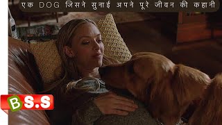 Racing Rain Movie Plot/Review In Hindi & Urdu / Story Of Dog