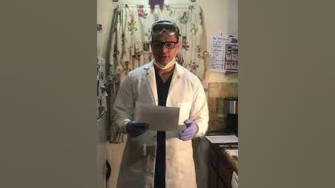 Bacteria Morphology and staining Technique. Part 1