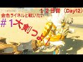 ゼルダの伝説 金色ライネルと戦いたい#1 修行の旅12日目(Day12)光の弓矢で冒険番外編