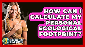 How Can I Calculate My Personal Ecological Footprint? - Ecosystem Essentials