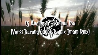 Dj Andmesh - Kumau Dia (Versi Gagak Remix)
