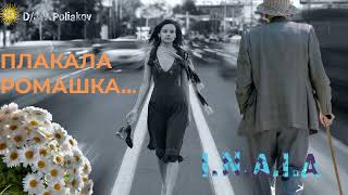 картинка: Плакала ромашка
